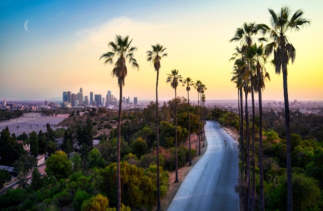 Drayage Services Los Angeles